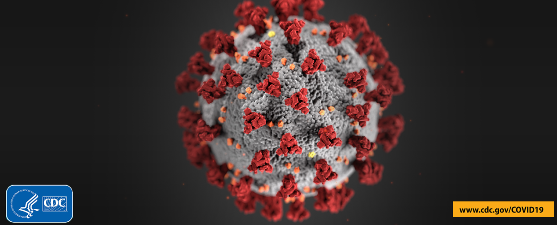COVID-19 virus image