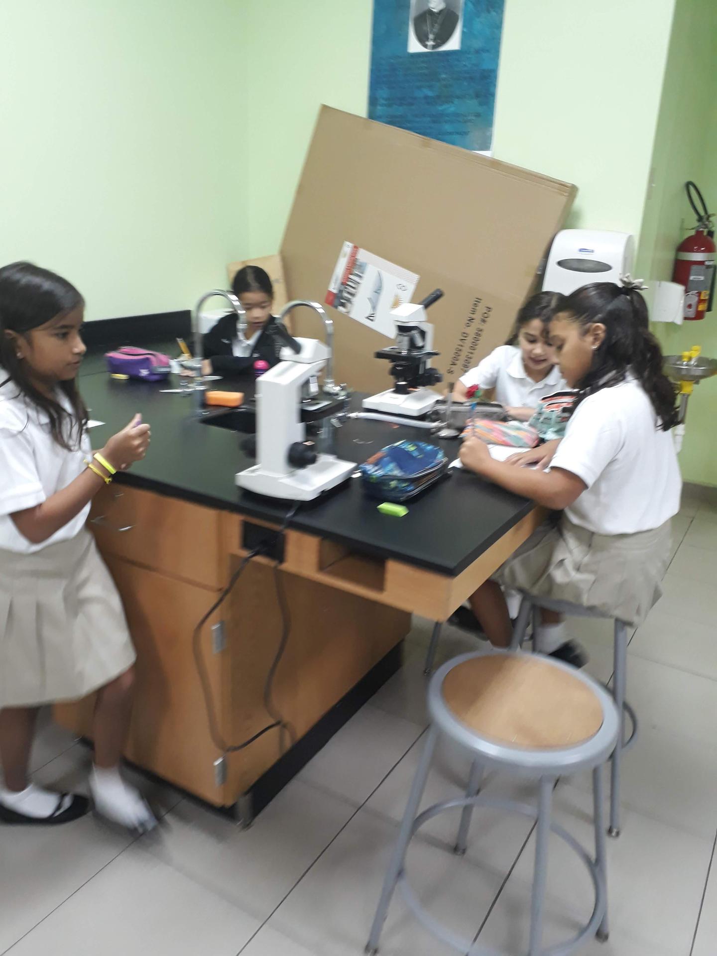 Lab
