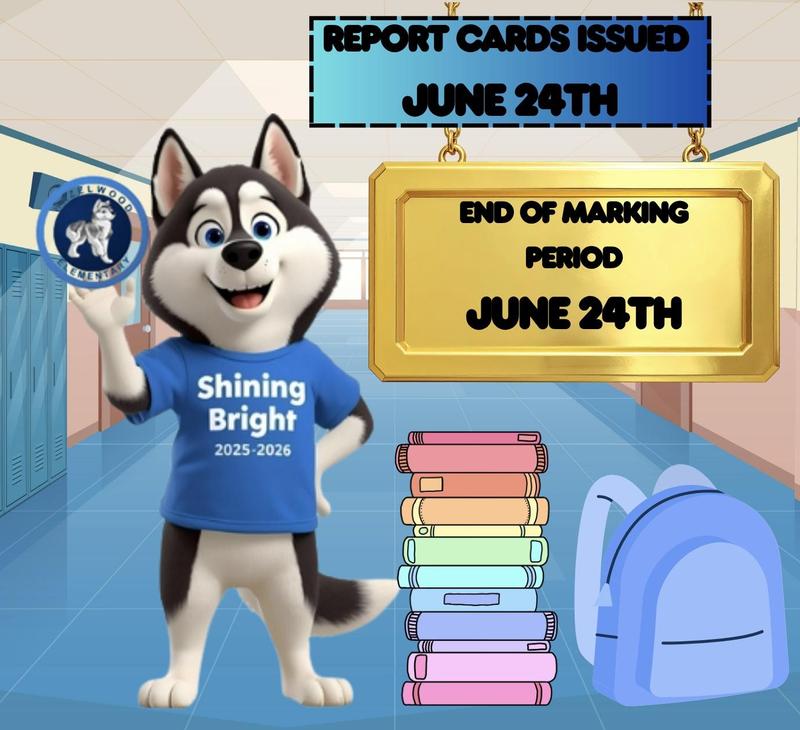 report cards