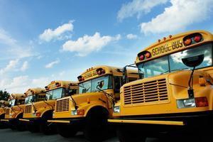 school buses