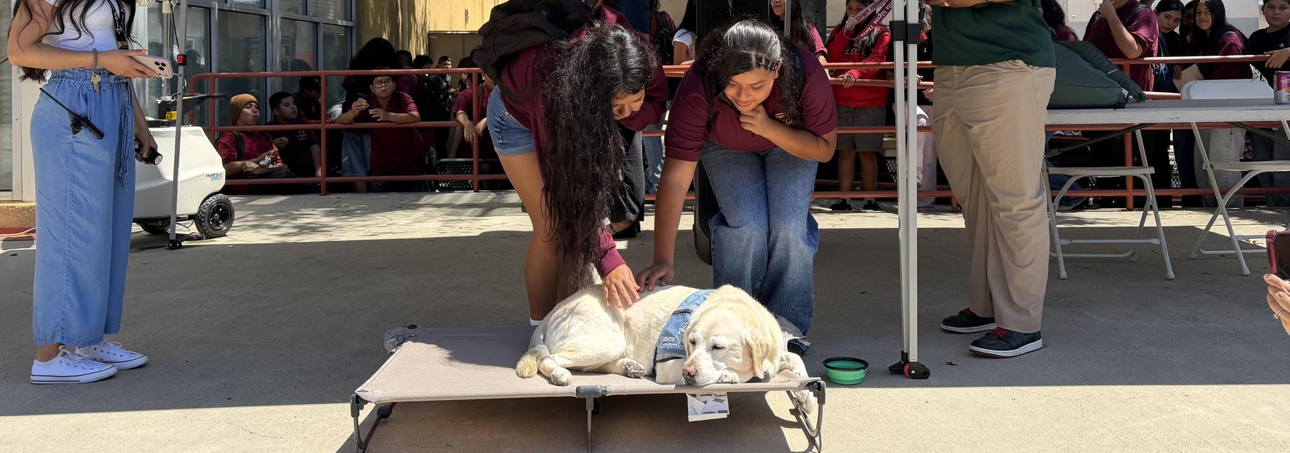 Trixie getting pets from Vista students.