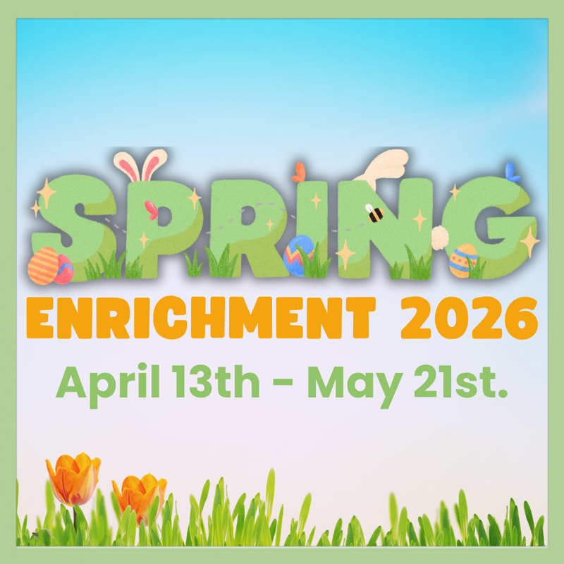 Spring Enrichment