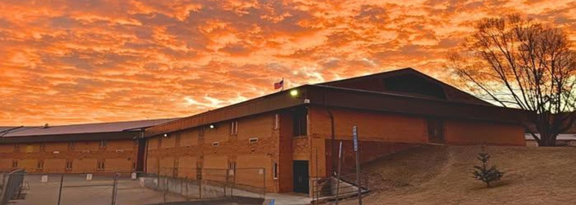 Vibrant orange sunset behind a brown building with trees and an approaching bird.