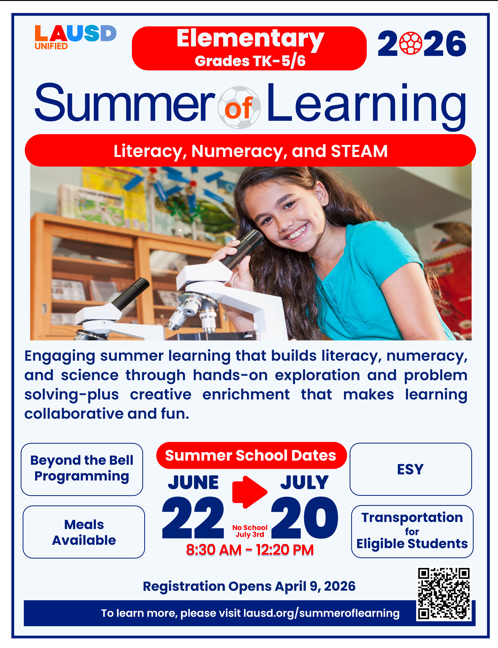 Summer School Flyer
