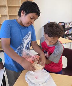 Strawberry Extraction Lab @ Camp Innovate