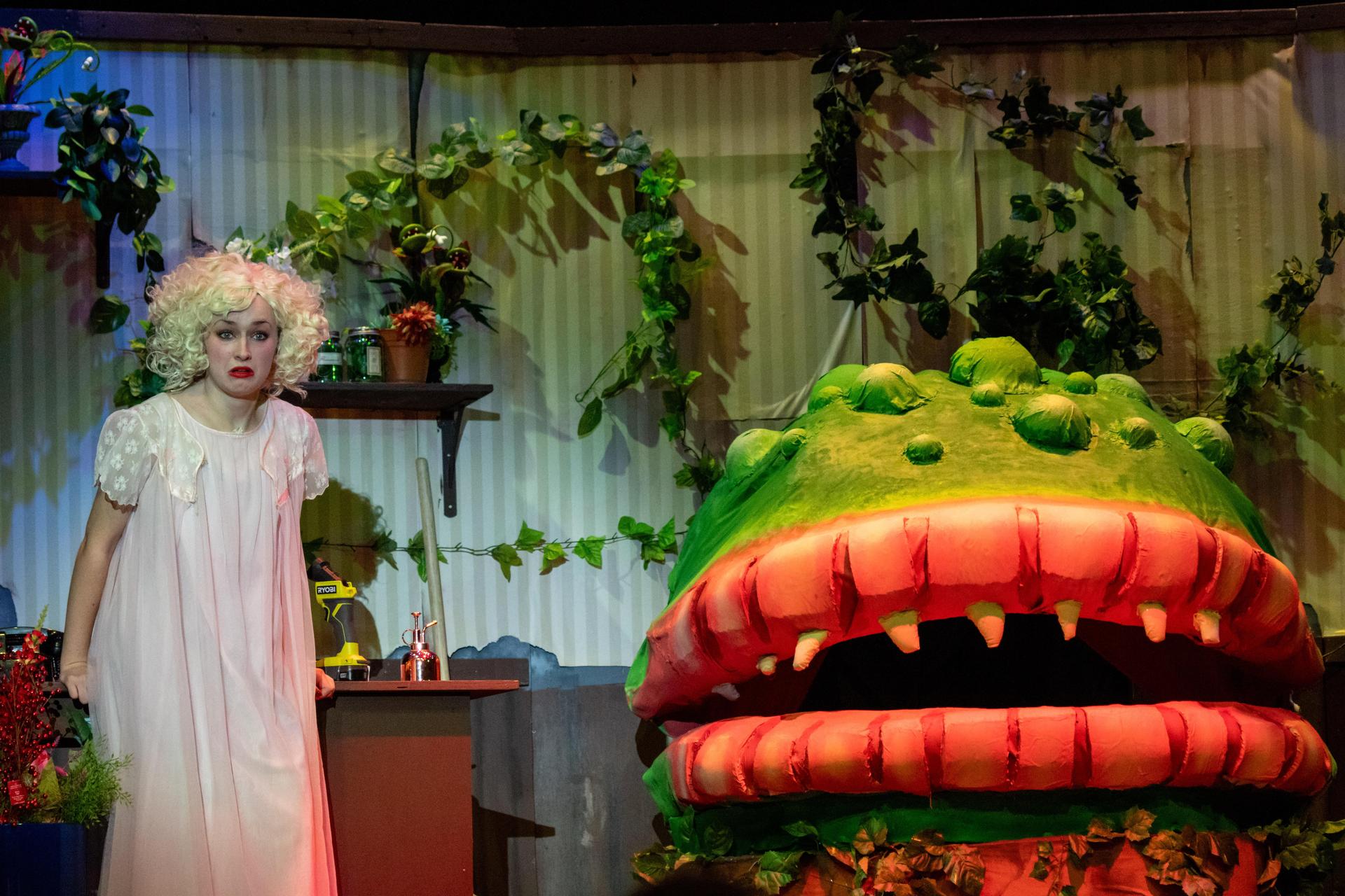 A scene from Little Shop of Horrors