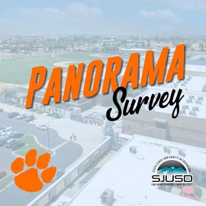 Panorama Survey