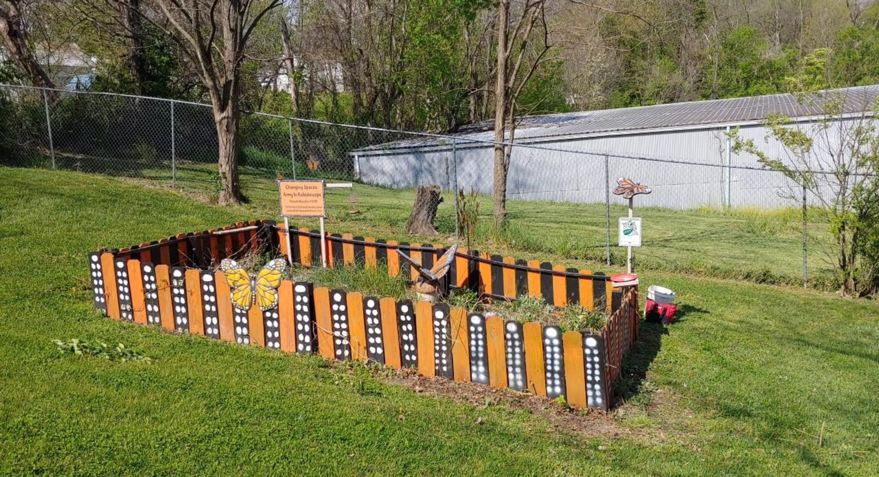 Butterfly Garden