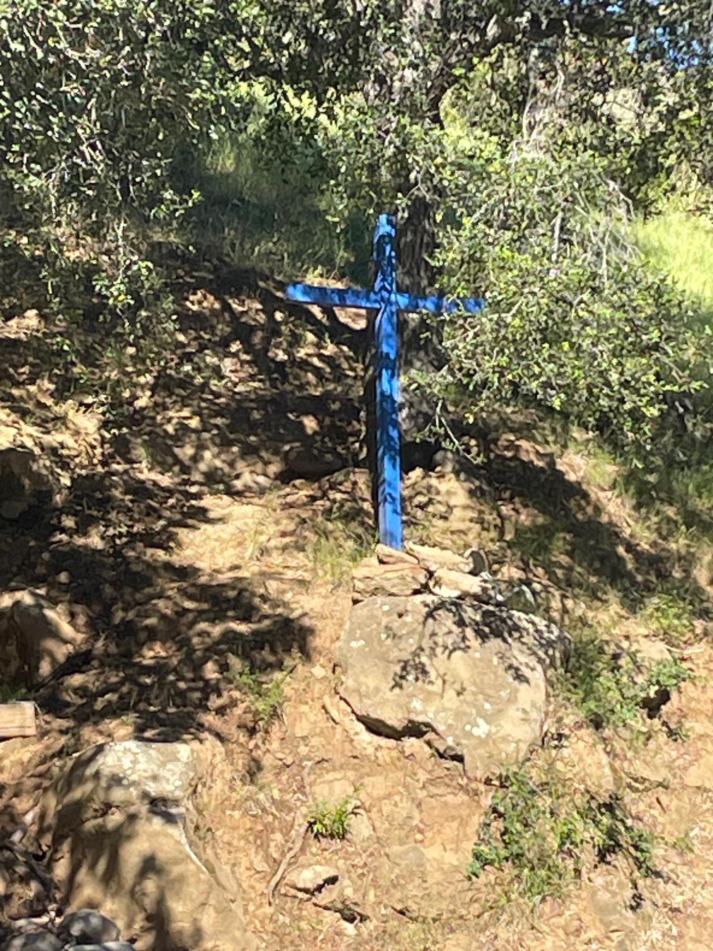 blue cross