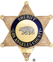 LASD Badge