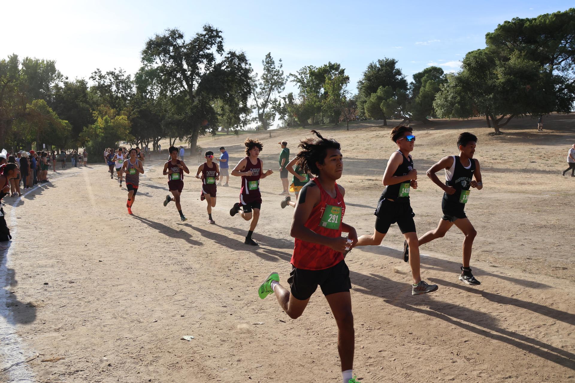 cross country runners in action