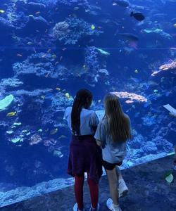 aquarium