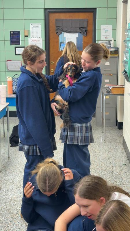 What did we do at school?