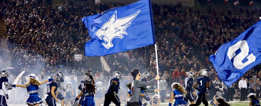 wildcat flag