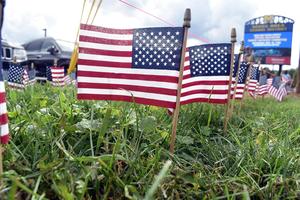 Close-up of small American flags in grass with a backdrop of vehicles.