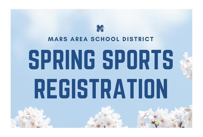 a blue sky background with white flowers