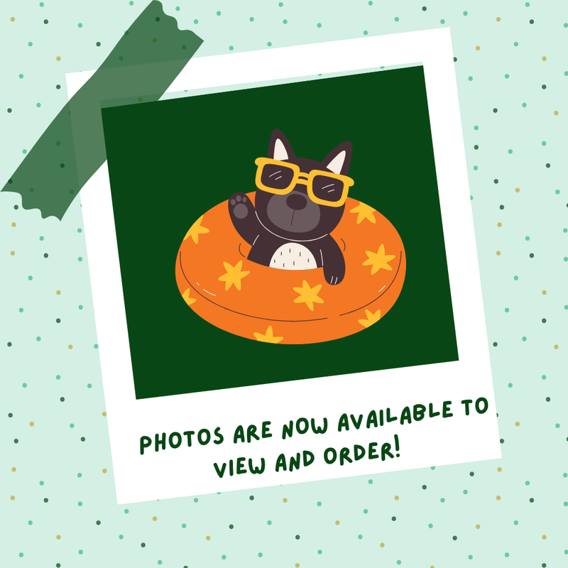 Picture Day photos are now available to view and order! Featured Photo