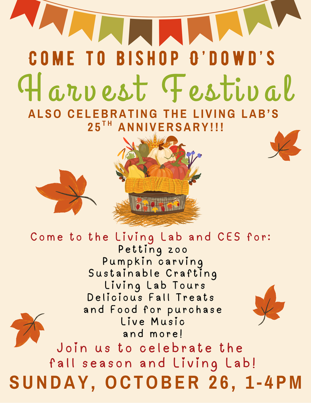 O'Dowd Fall Festival