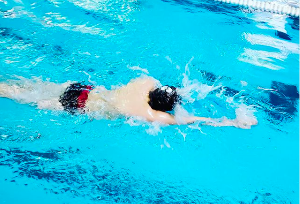 Shorewood Greyhounds Athletic Updates | Shorewood School District