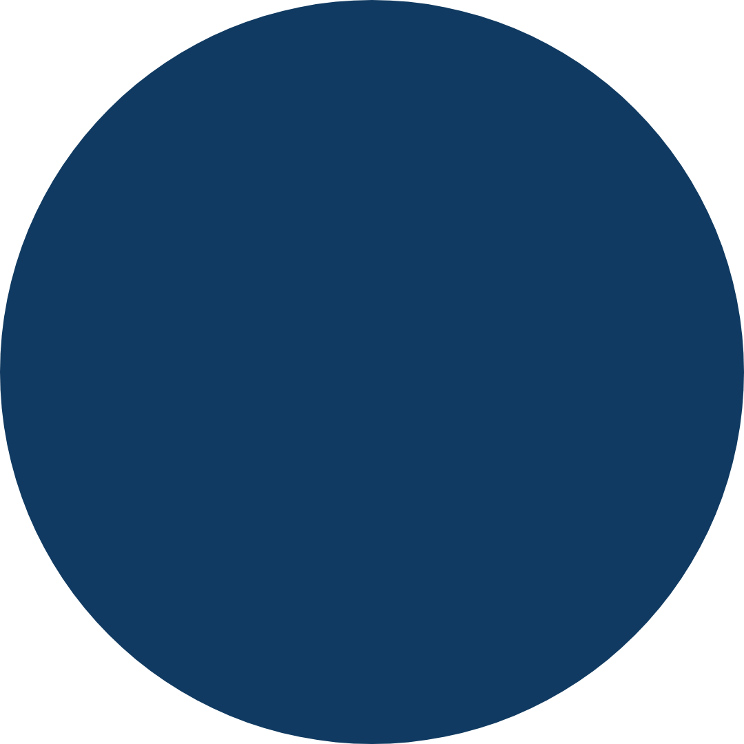 Dark blue circle