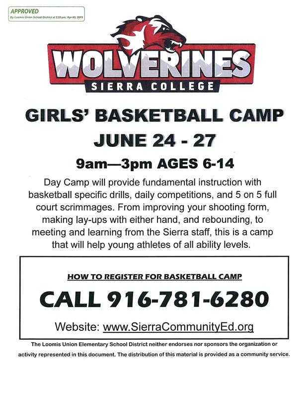 picture of a wolverine for girls basketball camp with details