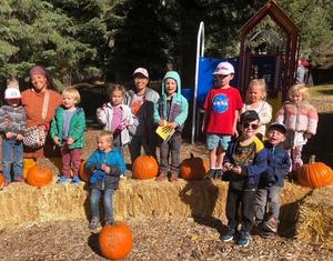Pre k pumpkin patch