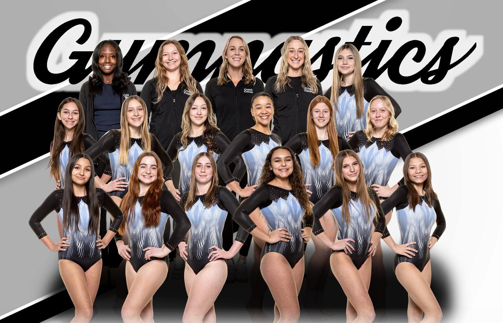 24-25 gymnastics team photo