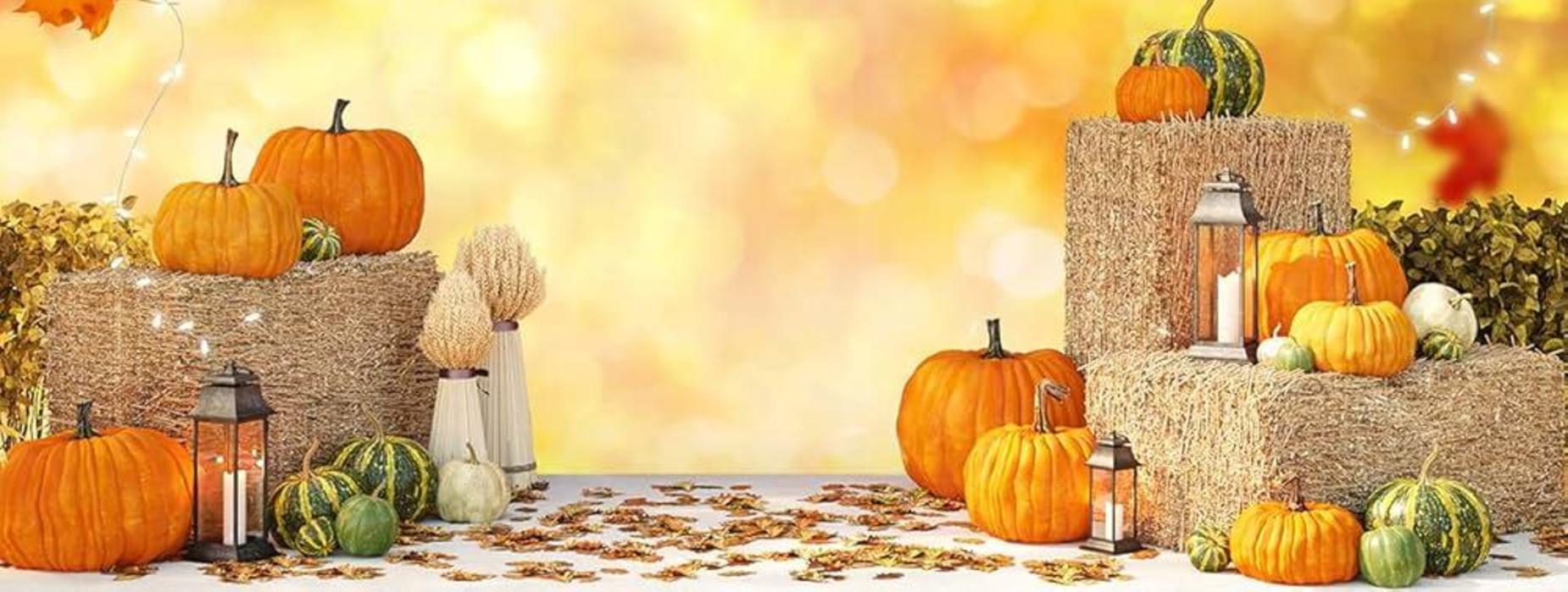 FALL