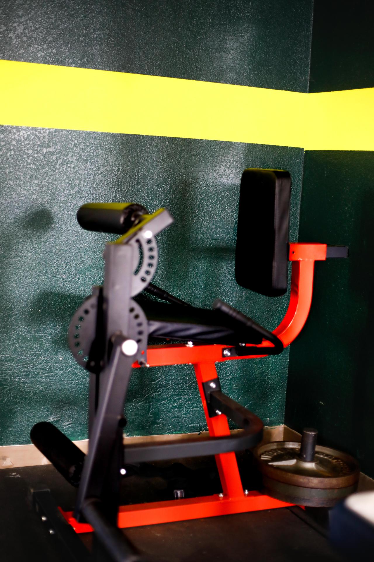 Leg Raises/Extension