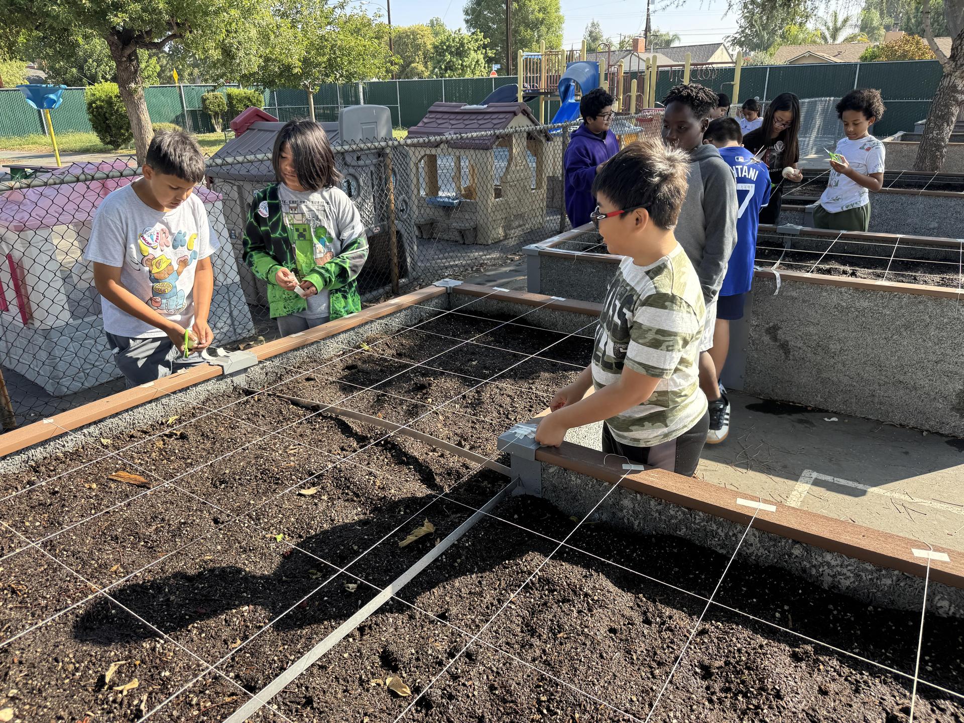 Lorne's Monarch Butterfly Sanctuary Garden