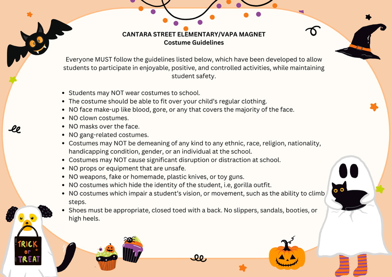 Costume guidelines