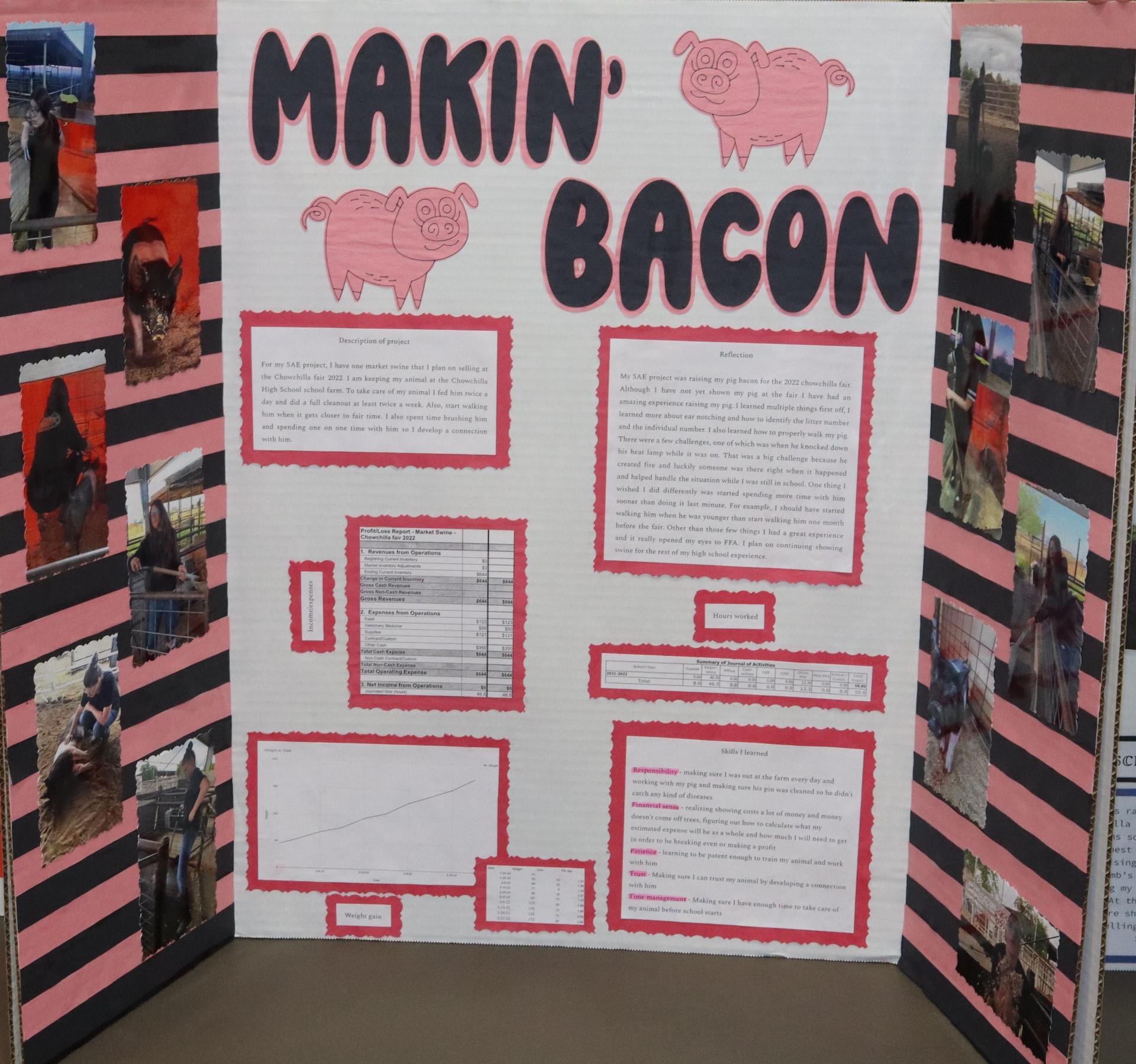 A Supervised Agricultural Experience trifold display