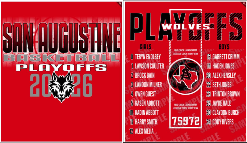 Basketball Playoff SHirt