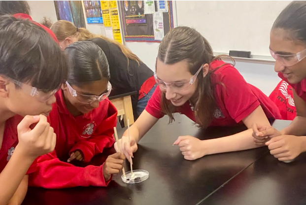 Students wear safety goggles and move chalk around in a petri dish with chopsticks. There's a clear liquid in teh dish.