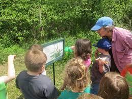 book walk