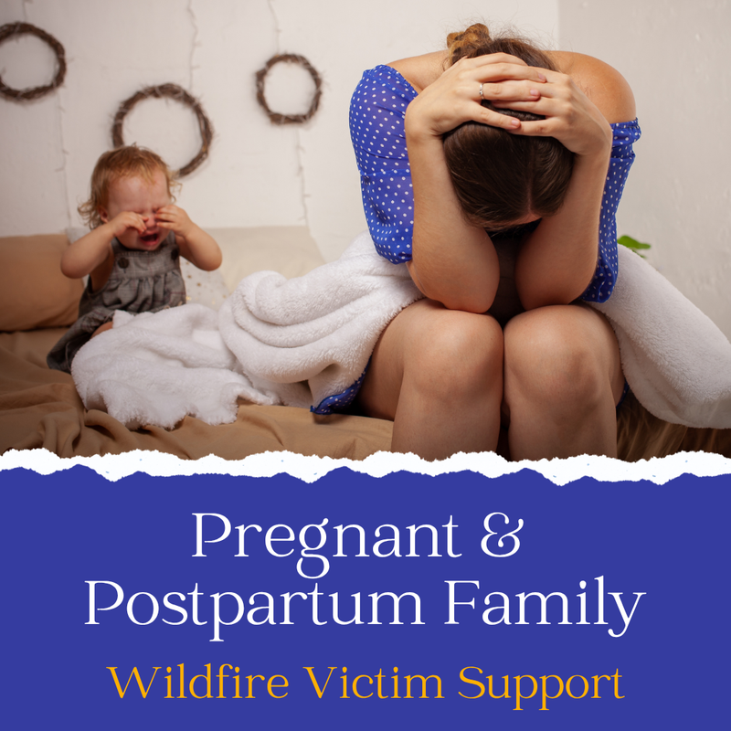 Pregnant & Postpartum Family Wildfire Victim Support
