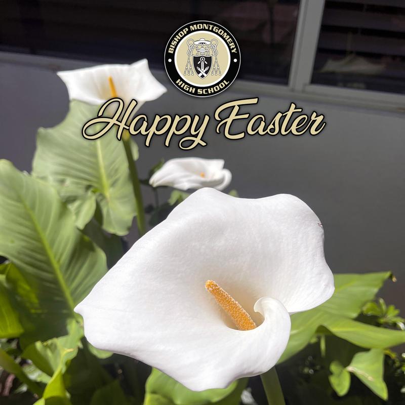 Easter Break Office Hours Featured Photo