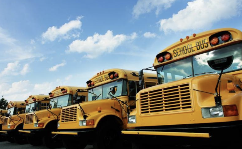 School Buses lined up in a row.
