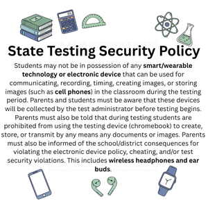 State Testing Security Policy