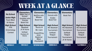 Week at a Glance (1).png