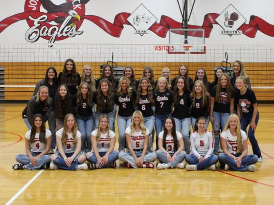 HS Volleyball Team