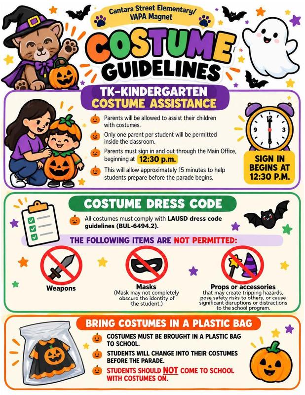 Costume guidelines Summary