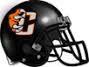 Grizzly Football helmet