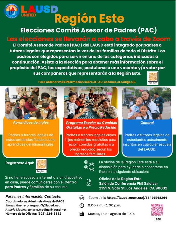 Spanish Flyer for Elections