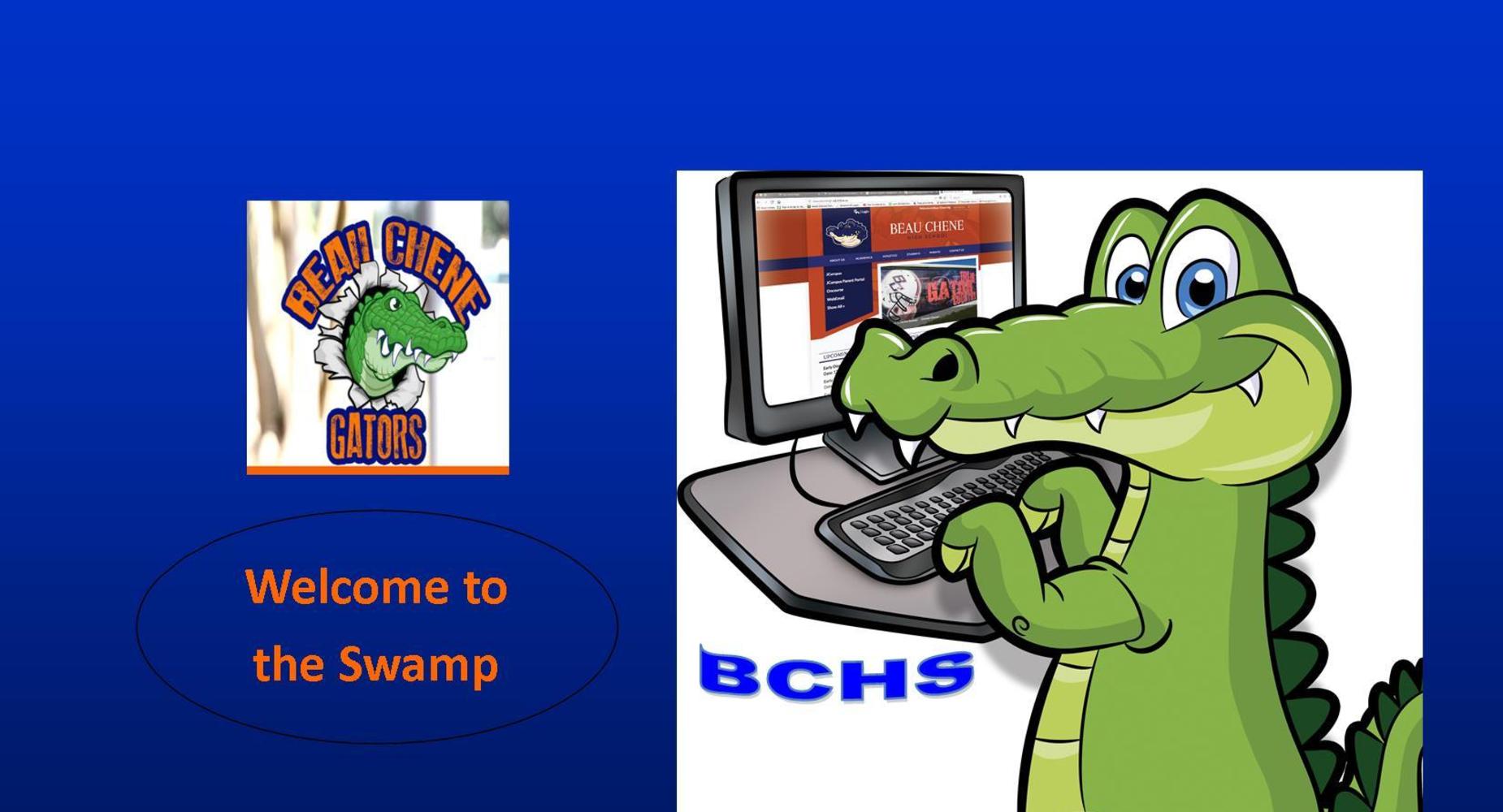 Welcome to the Swamp-Gator on the Computer