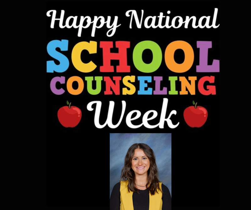 school counseling week