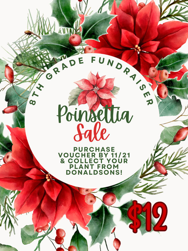 Poinsettia Sale