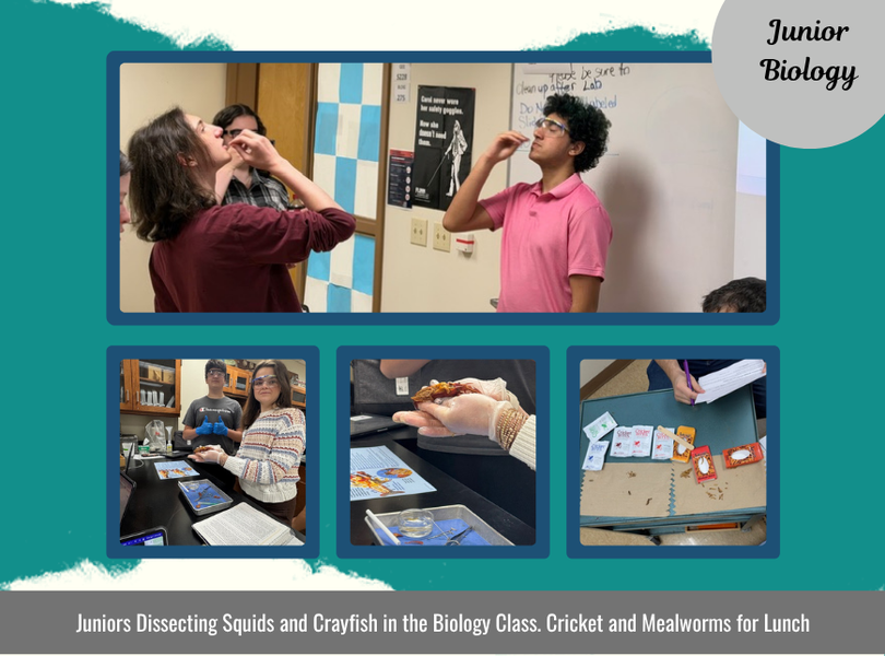 Fun in Biology class