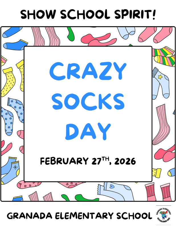 crazy socks day