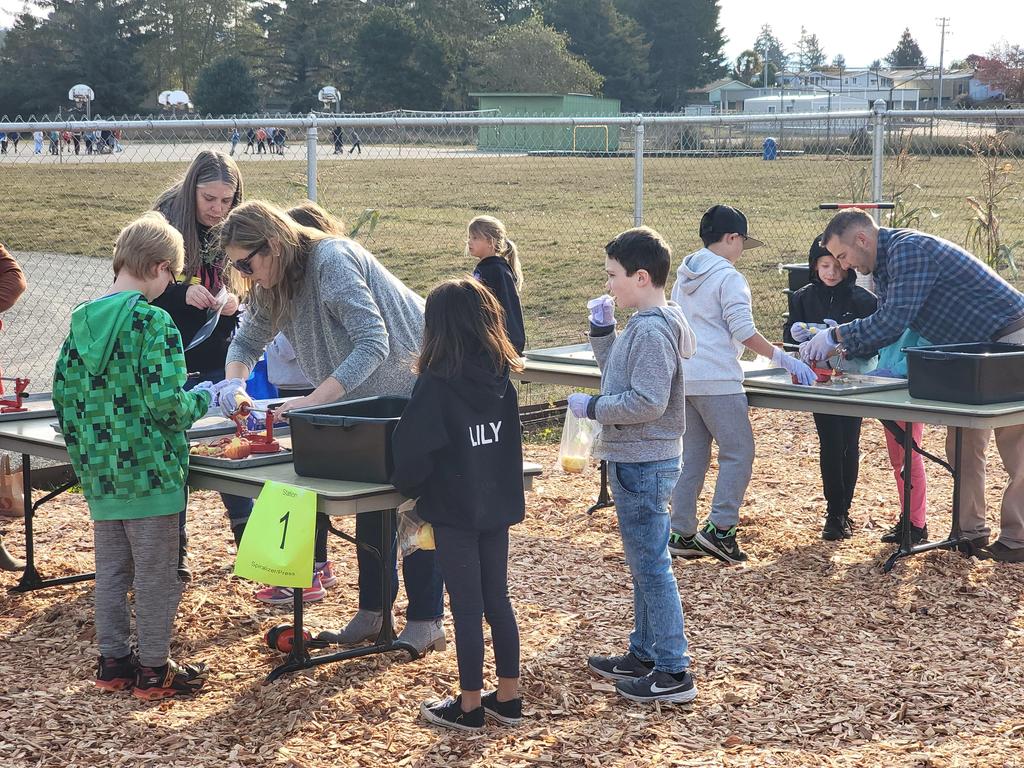 students peeling apples